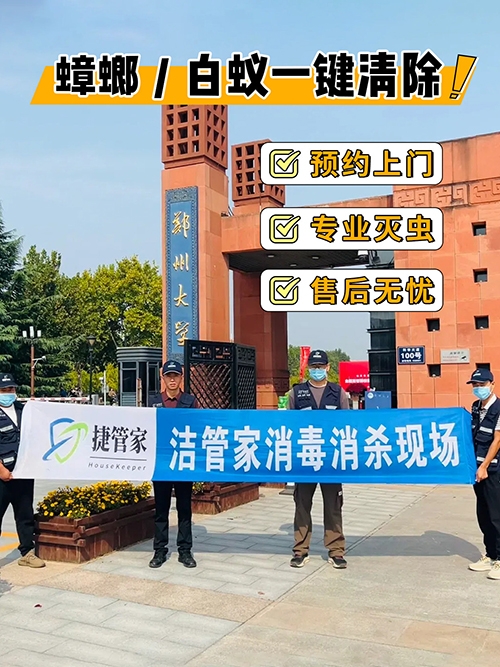 郑州学校除四害